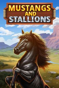 Mustang and Stallions