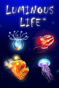 Luminous Life