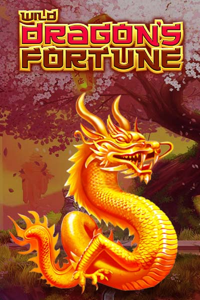 Wild Dragon's Fortune